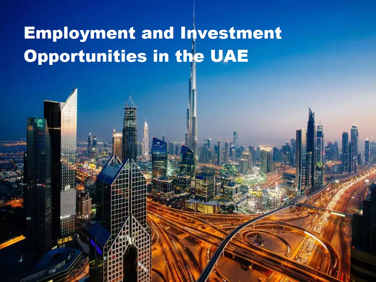 Employment Investment Opportunities UAE